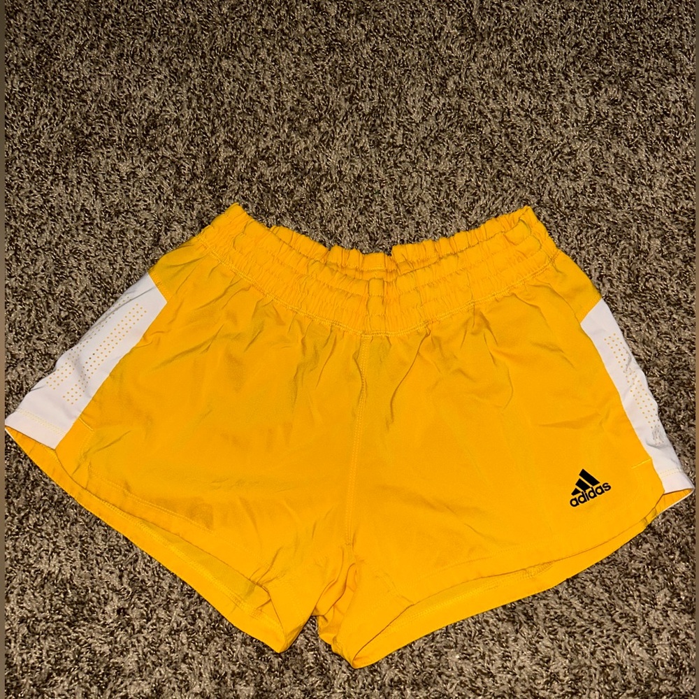 Adidas Shorts